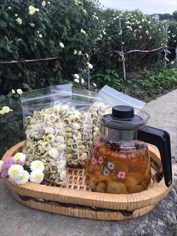 食用花卉-飲品 產品圖片（產品編號 595923）