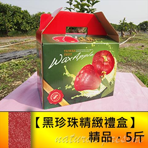 蓮霧 產品圖片（產品編號 597265）