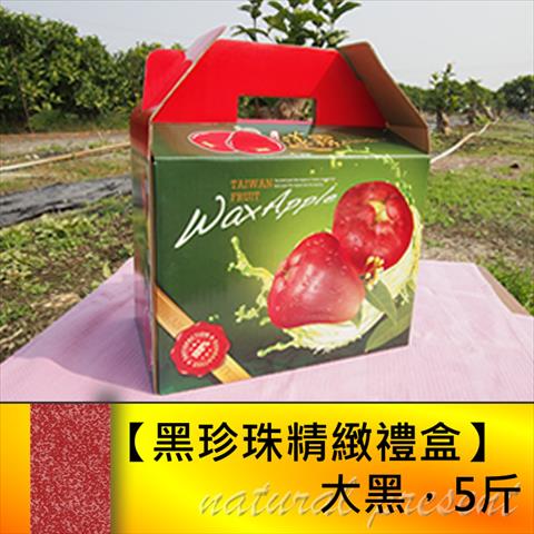 蓮霧 產品圖片（圖片編號 803807）