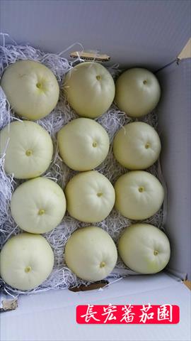 香瓜(美濃瓜) 產品圖片（圖片編號 806415）