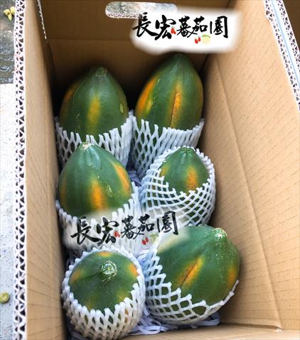 木瓜 產品圖片（圖片編號 806418）