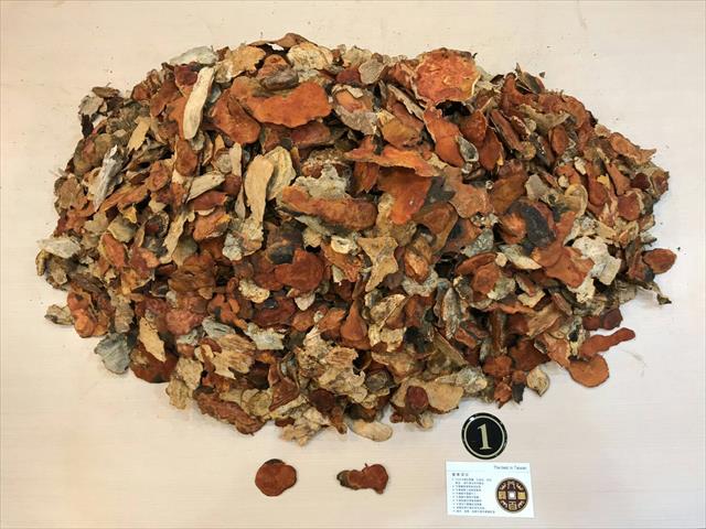 樟芝 產品圖片（產品編號 598636）