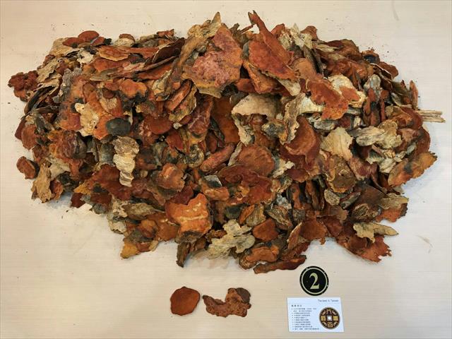 樟芝 產品圖片（圖片編號 806511）