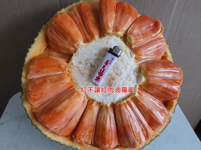 波羅蜜 產品圖片（產品編號 597728）