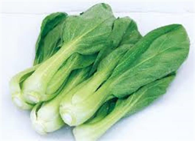 小白菜 產品圖片（圖片編號 813642）