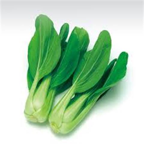 青江菜(青梗菜,青油菜) 產品圖片（產品編號 604457）