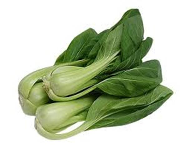 青江菜(青梗菜,青油菜) 產品圖片（圖片編號 813650）
