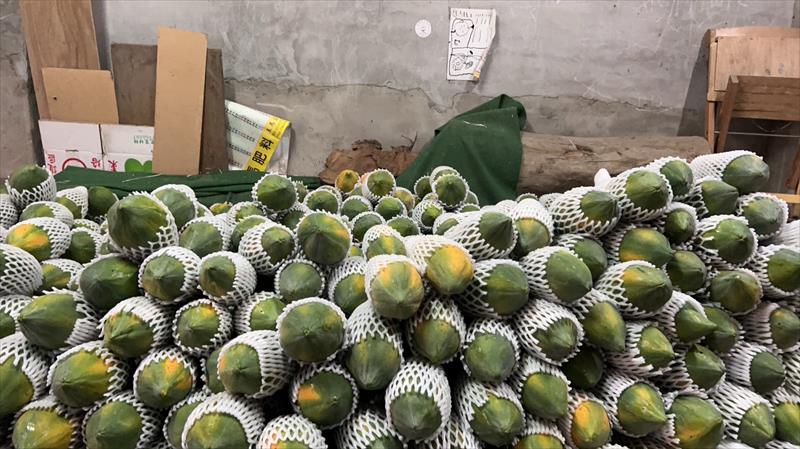棗 產品圖片（圖片編號 821906）
