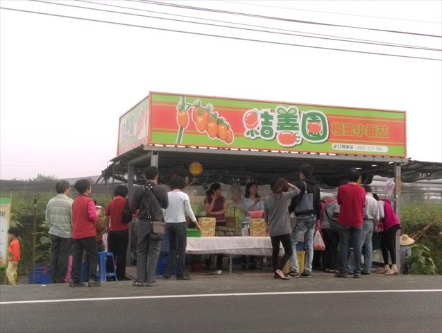 番茄(含小番茄) 產品圖片（產品編號 620536）