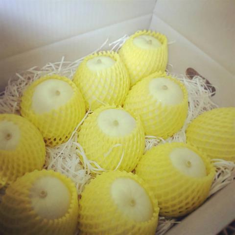 香瓜(美濃瓜) 產品圖片（產品編號 623296）