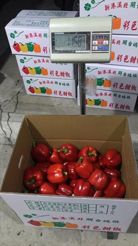 甜椒(含青椒) 產品圖片（圖片編號 827895）