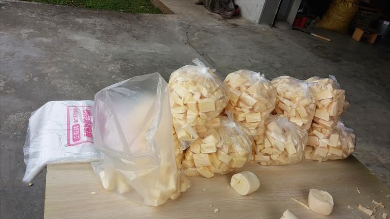 樹薯 產品圖片（圖片編號 831401）