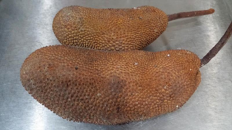 榴槤蜜 產品圖片（圖片編號 831403）
