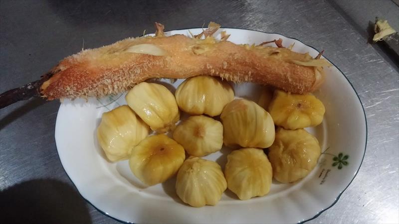 榴槤蜜 產品圖片（圖片編號 831404）