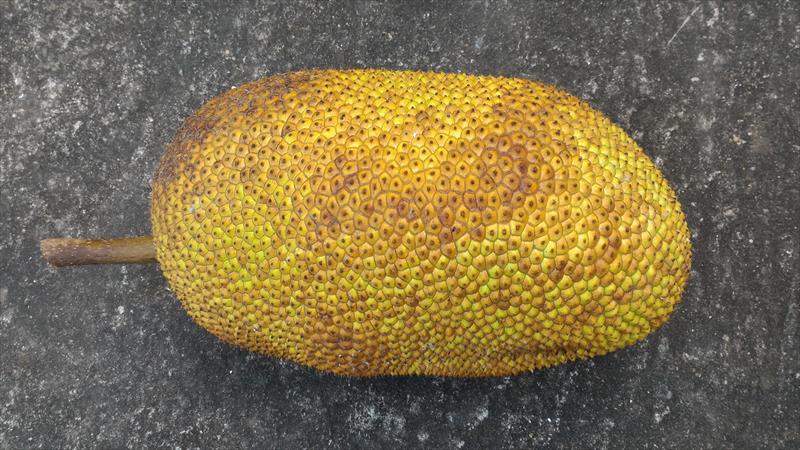 榴槤蜜 產品圖片（圖片編號 831429）