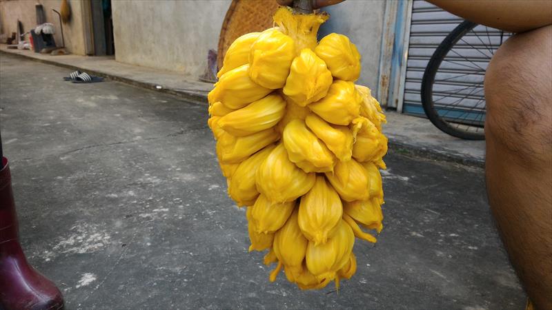 榴槤蜜 產品圖片（圖片編號 831430）