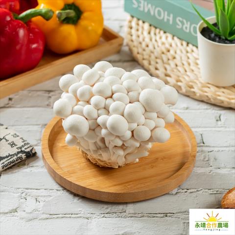 雪白菇(美白菇) 產品圖片（圖片編號 832853）