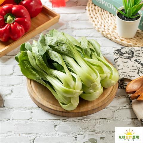 青江菜(青梗菜,青油菜) 產品圖片（圖片編號 832868）