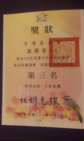 紅龍果 產品圖片（產品編號 631934）