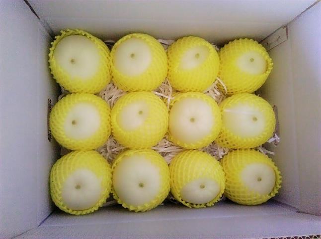 甜瓜 產品圖片（產品編號 633716）