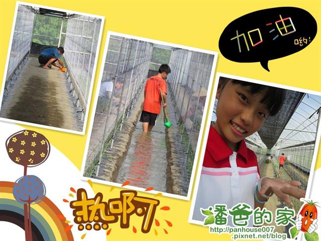 番茄(含小番茄) 產品圖片（圖片編號 843176）