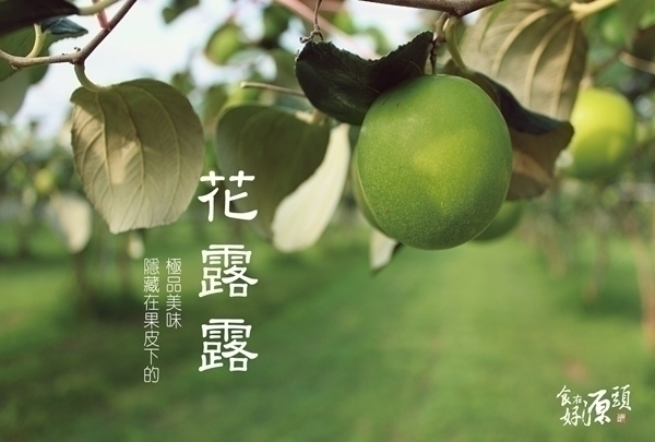 棗 產品圖片（圖片編號 84334）