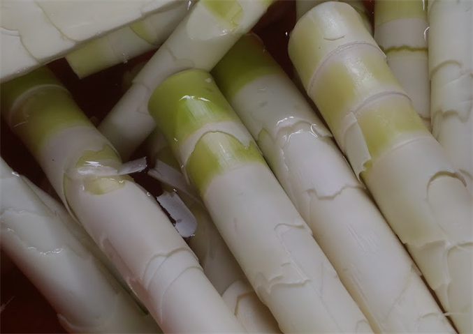 竹筍(桂竹筍) 產品圖片（圖片編號 846352）