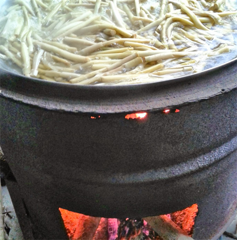 牧草筍 產品圖片（圖片編號 846369）