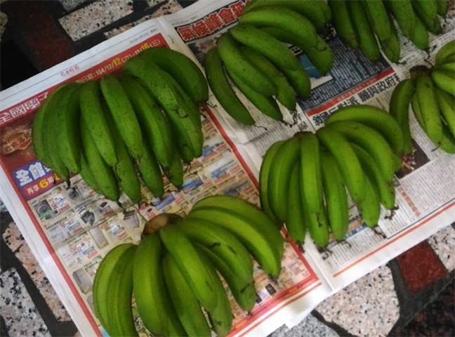 香蕉 產品圖片（圖片編號 846373）
