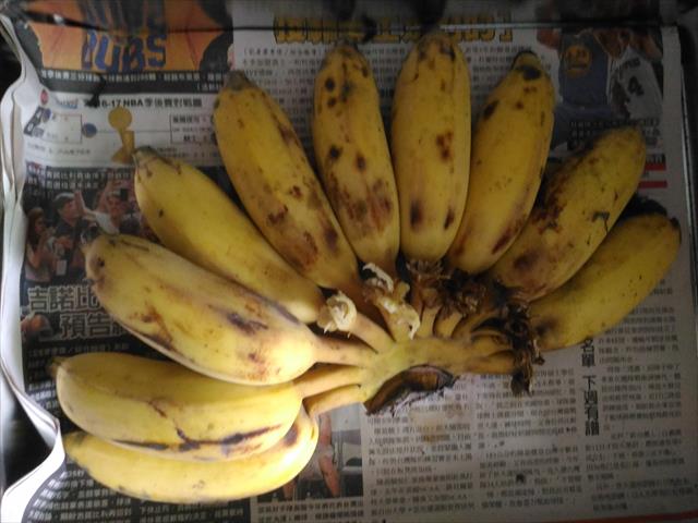 芭蕉 產品圖片（圖片編號 846381）