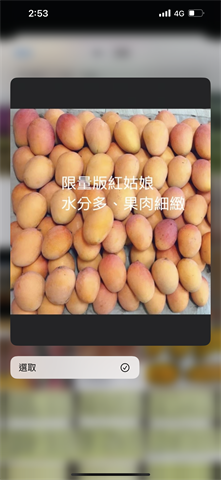 芒果 產品圖片（圖片編號 848795）