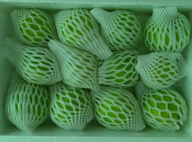 番石榴(芭樂) 產品圖片（產品編號 641113）