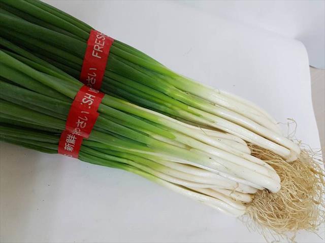 蔥 產品圖片（圖片編號 854779）