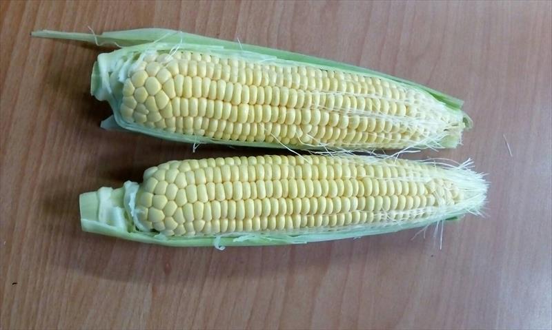 食用玉米(含玉米筍) 產品圖片（圖片編號 854785）