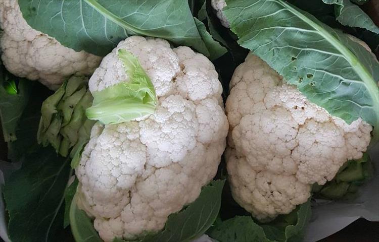 花椰菜 產品圖片（圖片編號 854789）