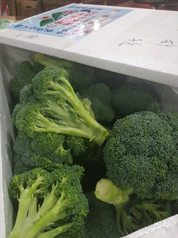 青花菜 產品圖片（圖片編號 854794）