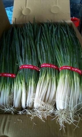 蔥 產品圖片（圖片編號 854818）