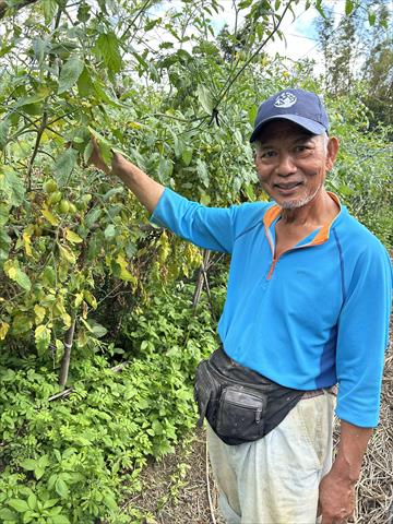 番茄(含小番茄) 產品圖片（圖片編號 855074）