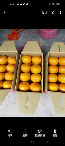 椪柑 產品圖片（圖片編號 859070）