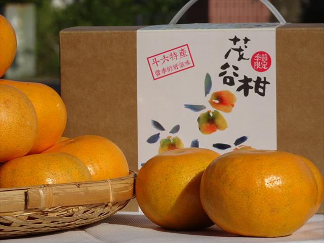 茂谷柑 產品圖片（圖片編號 861417）