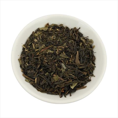茶製品-茶 產品圖片（產品編號 645645）