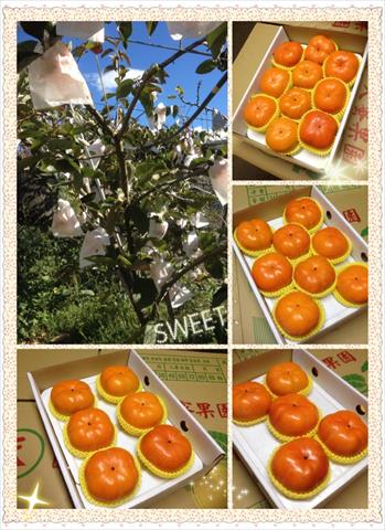 柿子 產品圖片（圖片編號 862005）