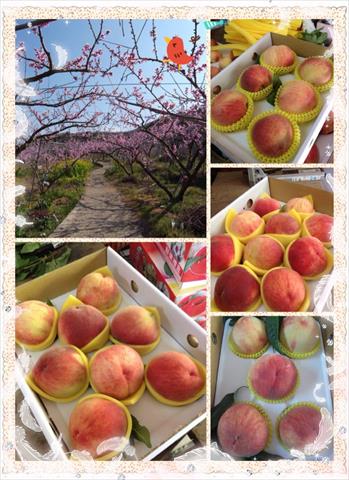 桃 產品圖片（產品編號 645723）