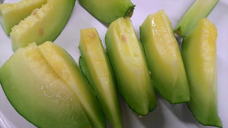 洋香瓜(哈蜜瓜) 產品圖片（圖片編號 862019）