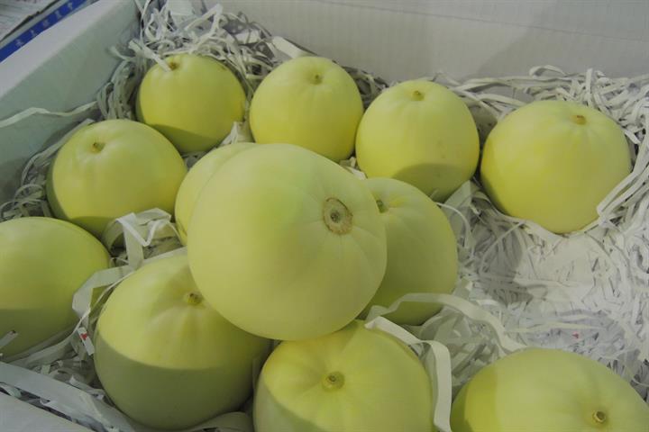 甜瓜 產品圖片（圖片編號 862024）