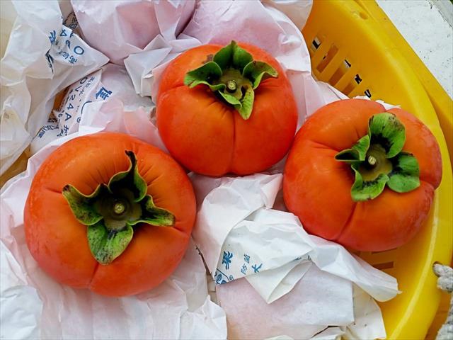 柿子 產品圖片（圖片編號 864717）