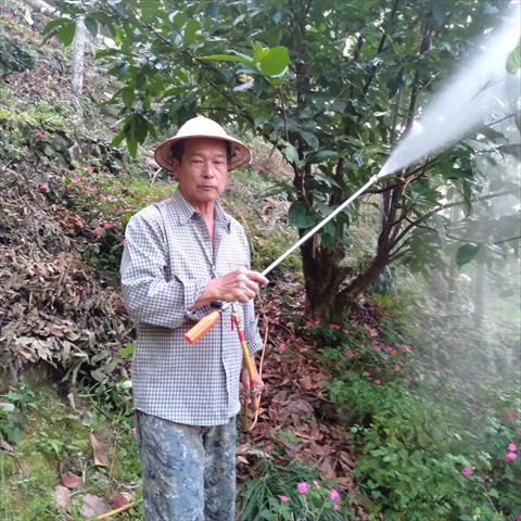 蓮霧 產品圖片（圖片編號 865191）