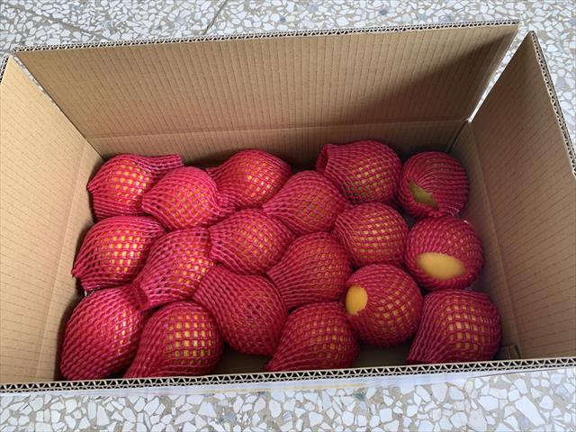 黃金果(黃晶果,加蜜蛋黃果,蜜蛋黃果) 產品圖片（圖片編號 865683）