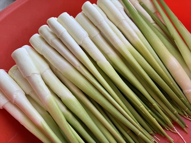 茭白筍 產品圖片（圖片編號 871531）