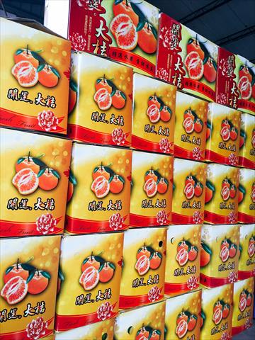 其它柑橘 產品圖片（圖片編號 871920）